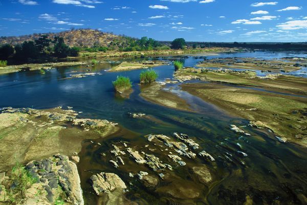 Splendeurs du Parc Kruger pas cher photo 1