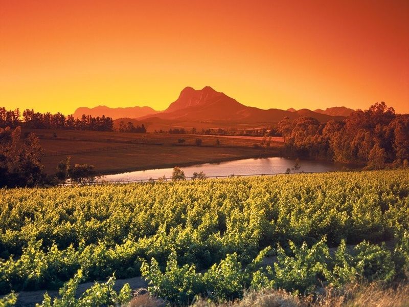 Circuit I love Afrique du Sud pas cher photo 9