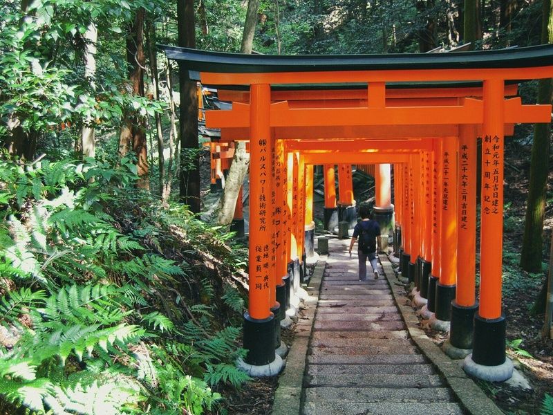 3 Perles du Japon - Circuit individuel pas cher photo 7
