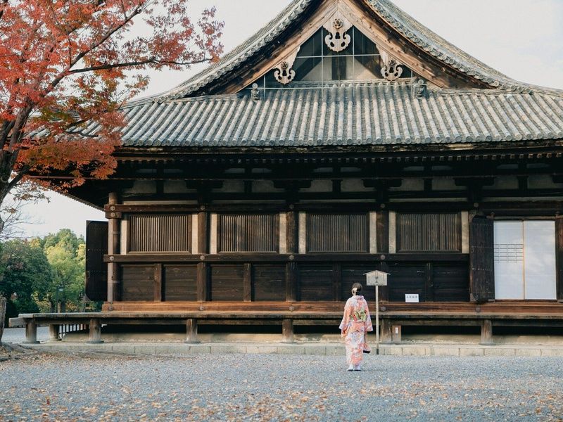 3 Perles du Japon - Circuit individuel pas cher photo 9