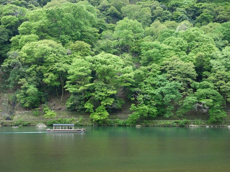 3 Perles du Japon - Circuit individuel pas cher photo 10
