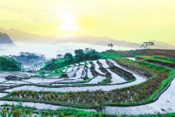 Circuit Des Rizières de Mai Chau à la Baie d'Halong pas cher photo 14