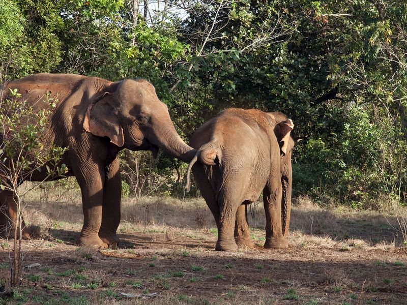 Circuit Grande découverte de la Thaïlande en 14 nuits pas cher photo 10