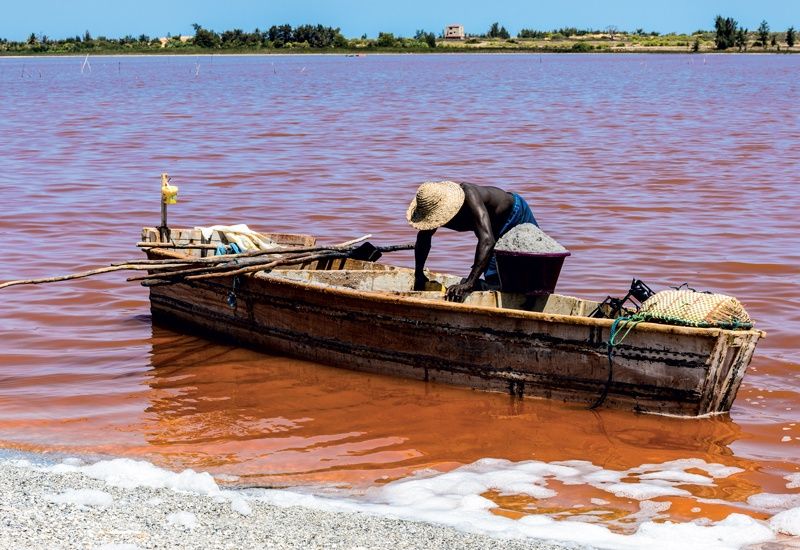 Le Sénégal, des dunes du Dakar au delta du Saloum pas cher photo 8