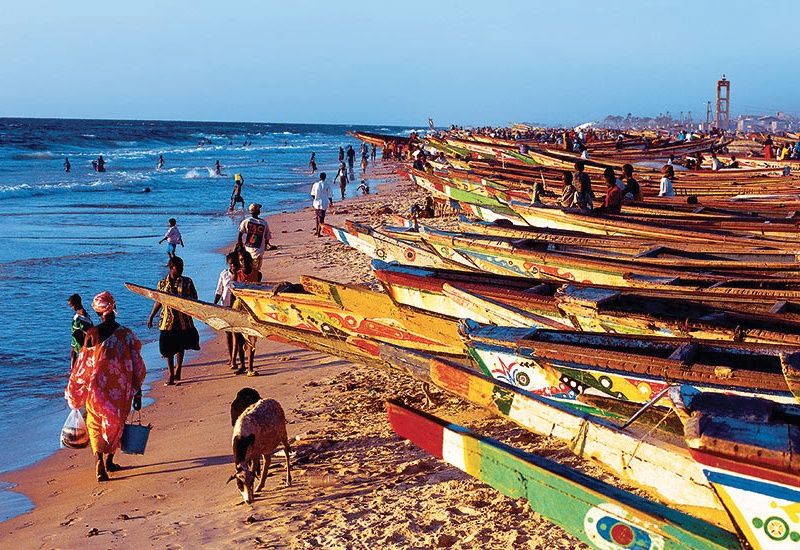 Le Sénégal, des dunes du Dakar au delta du Saloum pas cher photo 10