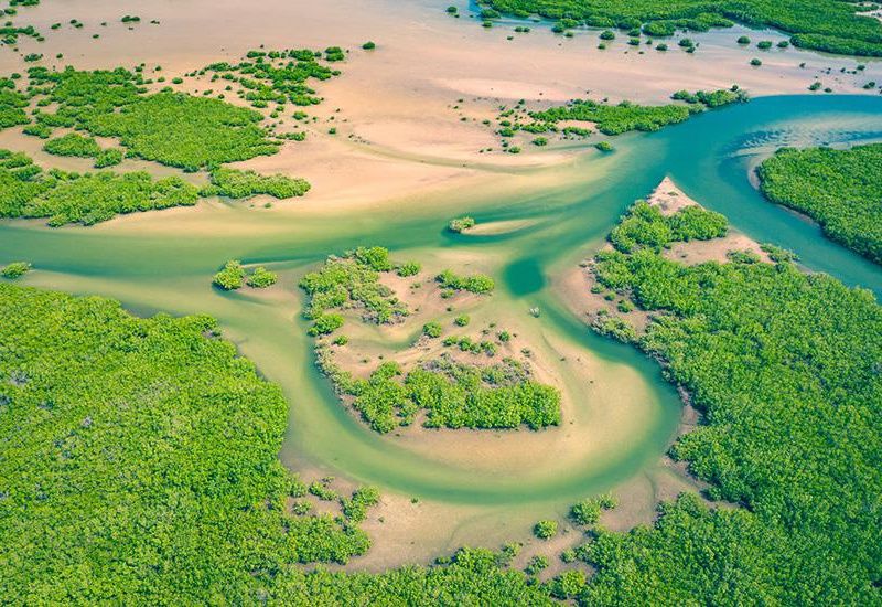 Le Sénégal, des dunes du Dakar au delta du Saloum pas cher photo 12