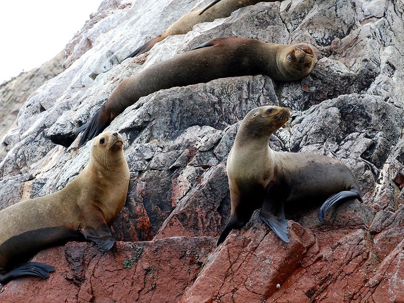 Découverte du Pérou pas cher photo 2