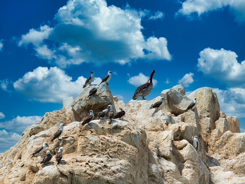 Découverte du Pérou pas cher photo 3