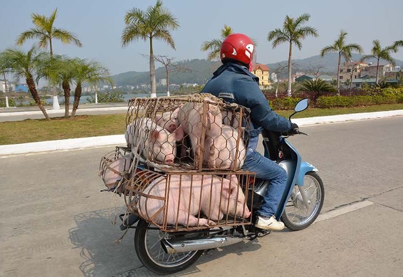 Circuit Escapade Vietnamienne pas cher photo 7