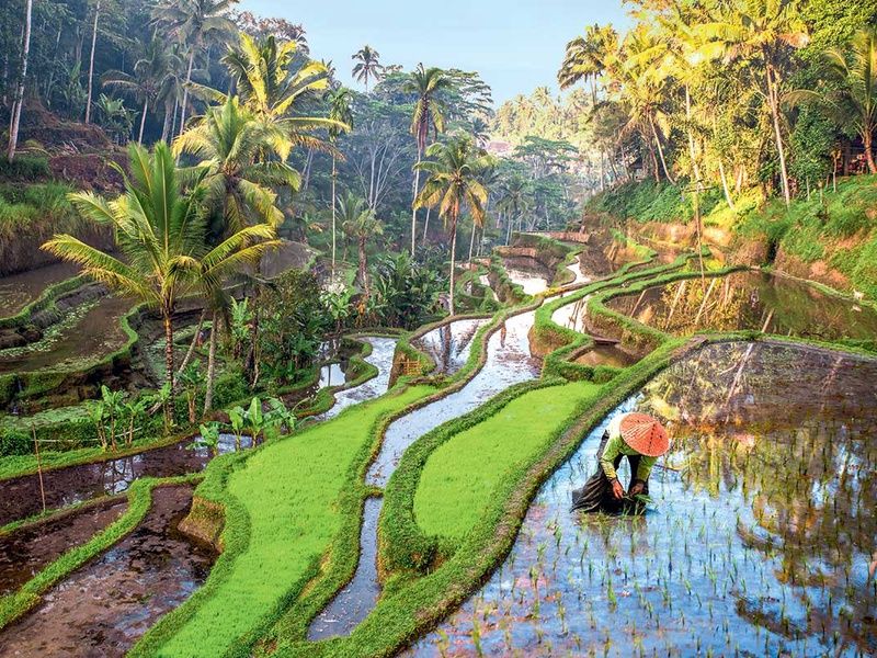 Circuit Bali, l'île enchantée pas cher photo 1