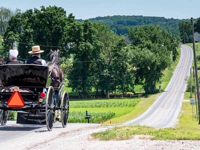 I Love USA Canada - 11J/9N pas cher photo 5