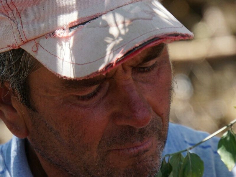 Des Alpes à l'Adriatique, la grande traversée pas cher photo 5