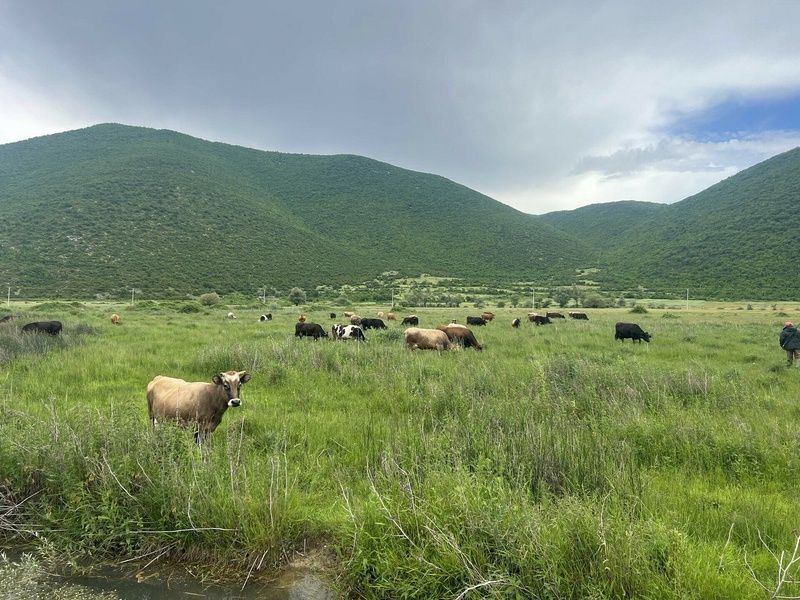 Des Alpes à l'Adriatique, la grande traversée pas cher photo 13