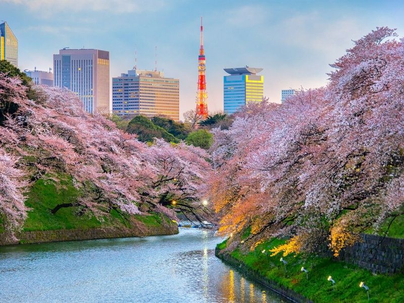 Arts et Traditions du Japon - Circuit individuel pas cher photo 11