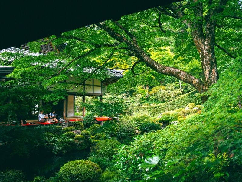 Intensément Japon - Circuit individuel pas cher photo 4