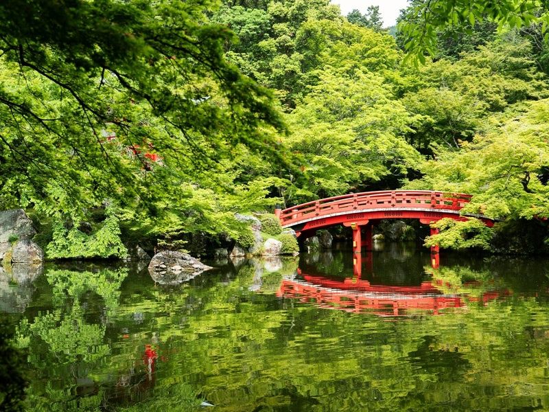 Intensément Japon - Circuit individuel pas cher photo 12