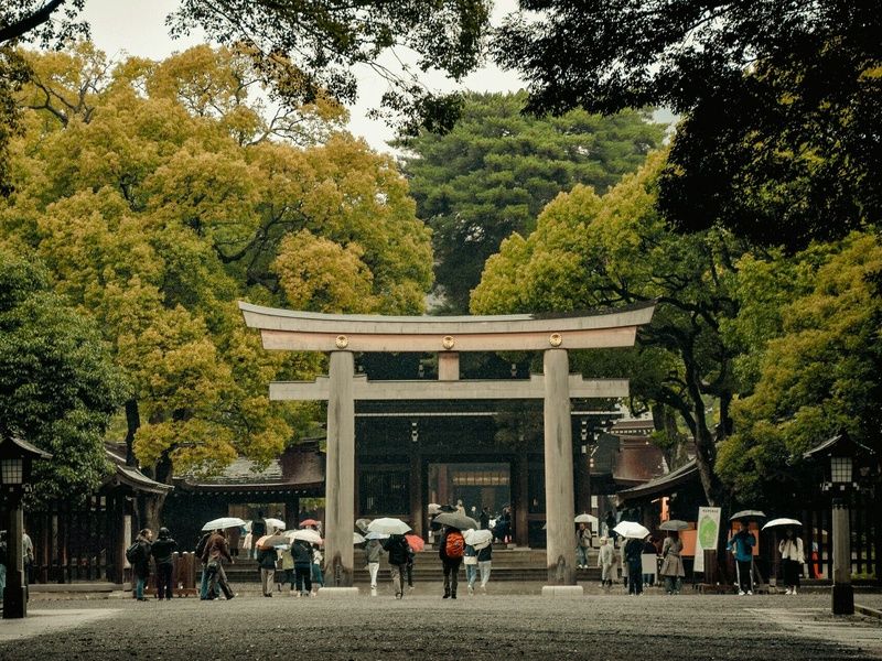 Intensément Japon - Circuit individuel pas cher photo 20
