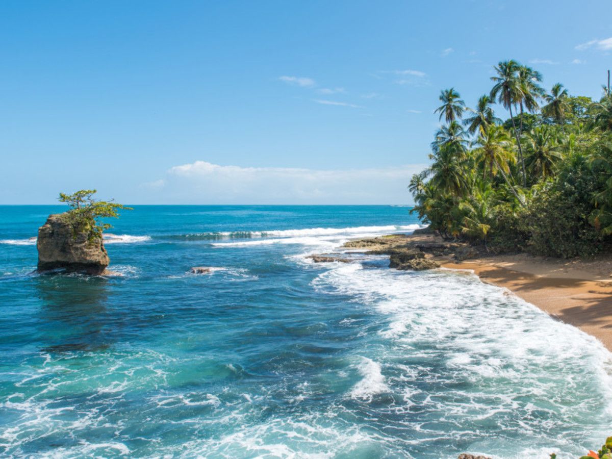 Balade en liberté - Trésors des Caraïbes et joyaux de la forêt tropicale pas cher photo 6