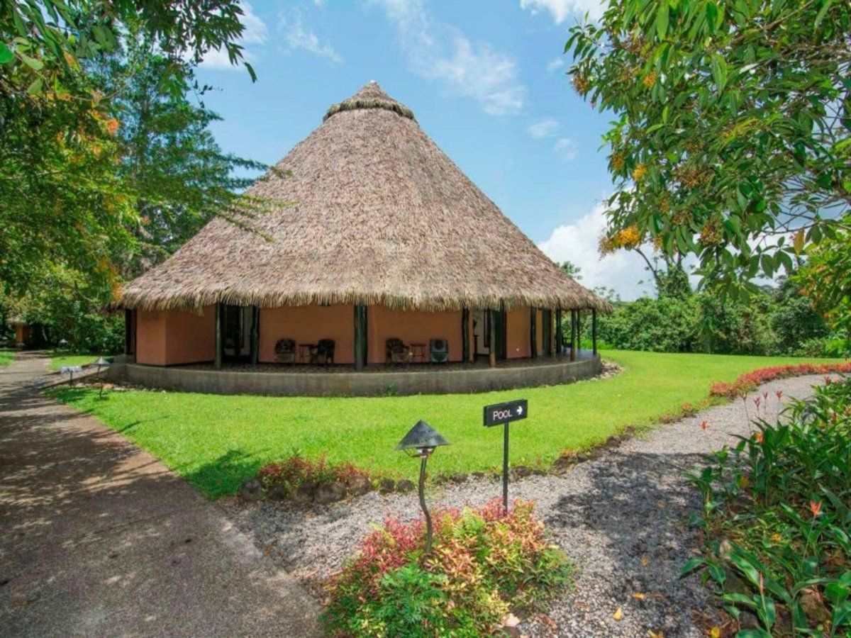 Balade en liberté - Trésors des Caraïbes et joyaux de la forêt tropicale pas cher photo 9