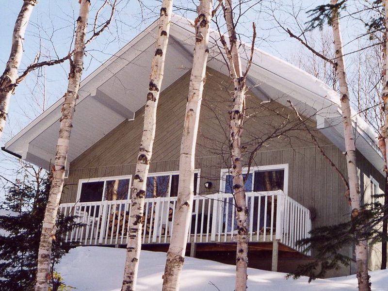 Découverte de l'hiver québécois pas cher photo 1