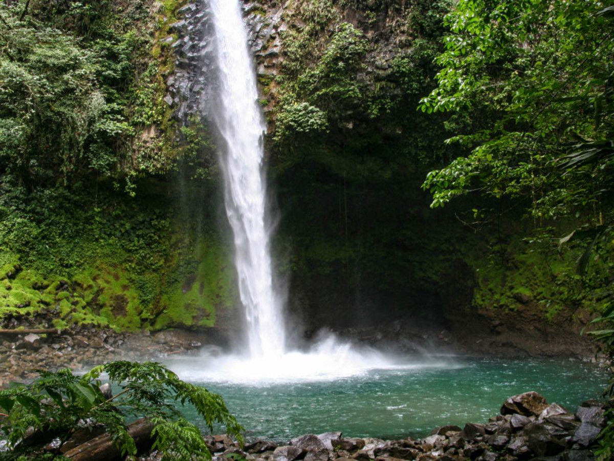Balade en liberté - Merveilles essentielles du Costa Rica pas cher photo 5