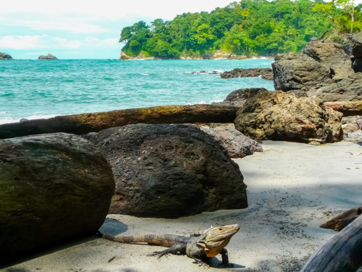 Balade en liberté - Merveilles essentielles du Costa Rica pas cher photo 8