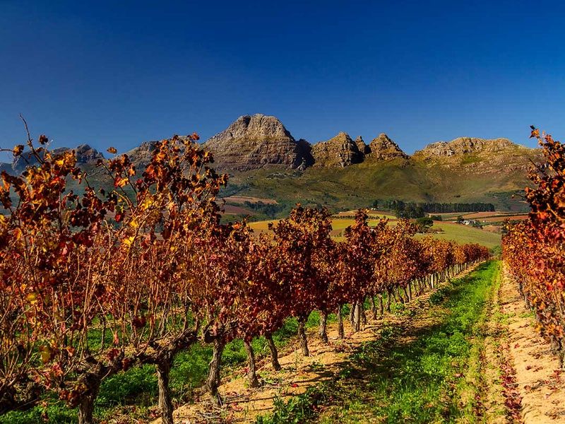 Circuit Cap sur l'Afrique du Sud pas cher photo 6