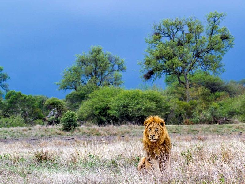 Circuit Cap sur l'Afrique du Sud pas cher photo 11