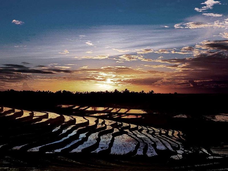 Circuit Bali, l'ile enchantée + Extension à Sanur pas cher photo 14