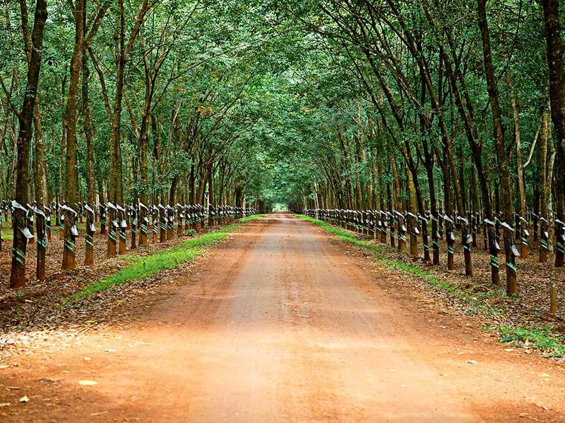 Circuit La Transvietnamienne pas cher photo 19