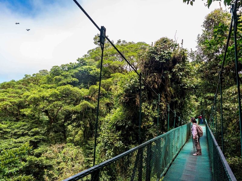 SUR LA ROUTE DU COSTA RICA: MONTEVERDE ET PLAGE (Autotour) pas cher photo 2