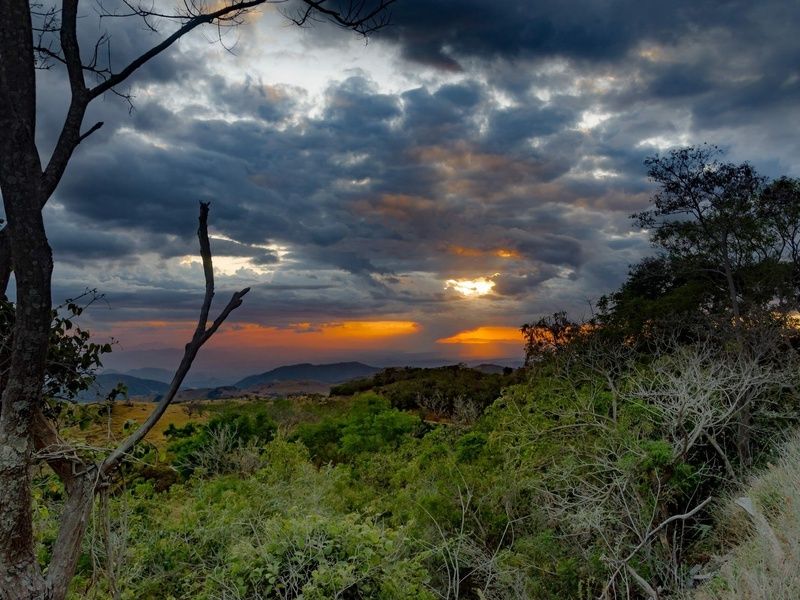 SUR LA ROUTE DU COSTA RICA: MONTEVERDE ET PLAGE (Autotour) pas cher photo 3
