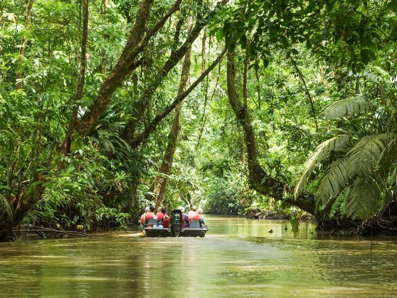 SUR LA ROUTE DU COSTA RICA: MONTEVERDE ET PLAGE (Autotour) pas cher photo 5