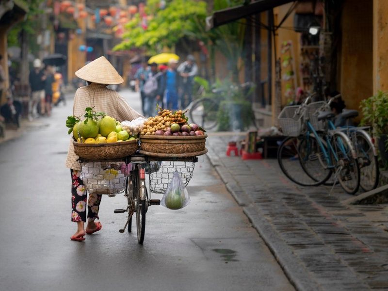 Circuit Magie du Vietnam pas cher photo 4