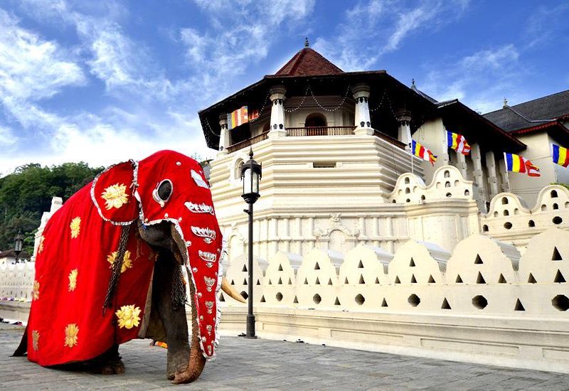 Circuit Le Sri Lanka, pays de l'Or Vert pas cher photo 9