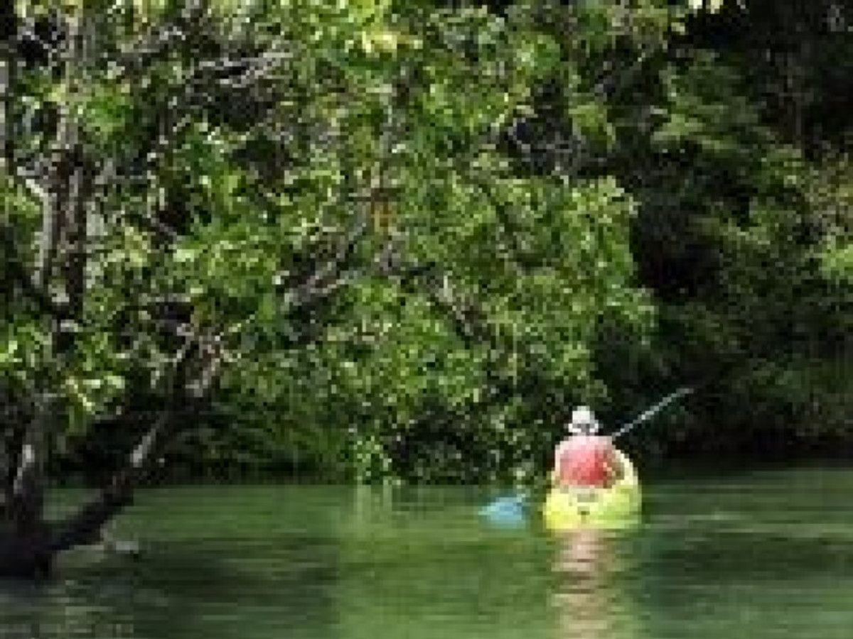 O1. Thailande du Sud, Entre Terre & Mer pas cher photo 5