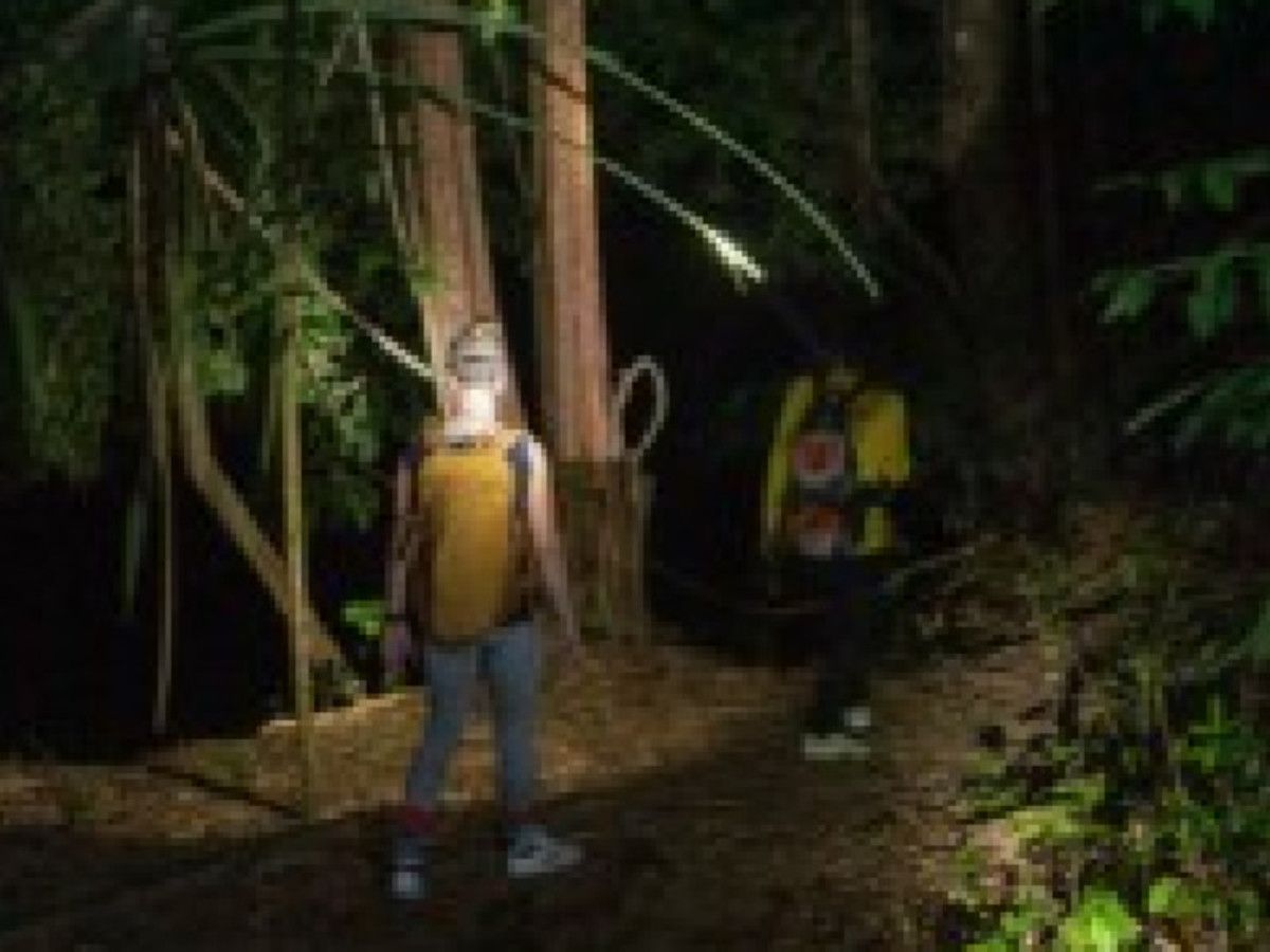 O1. Thailande du Sud, Entre Terre & Mer pas cher photo 7