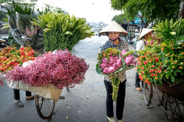 Circuit Les Mystères du Nord Vietnam Authentique et Eco-responsable pas cher photo 4