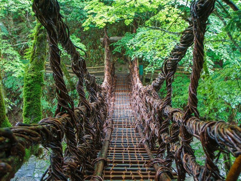 Autotour Japon : Incontournables & Terres Mystérieuses en 3* pas cher photo 3