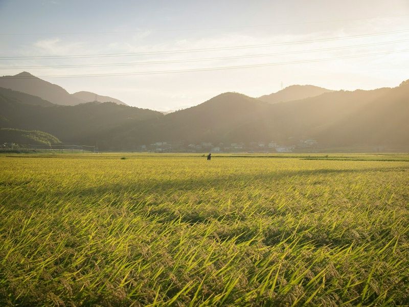 Autotour Japon : Incontournables & Terres Mystérieuses en 3* pas cher photo 5