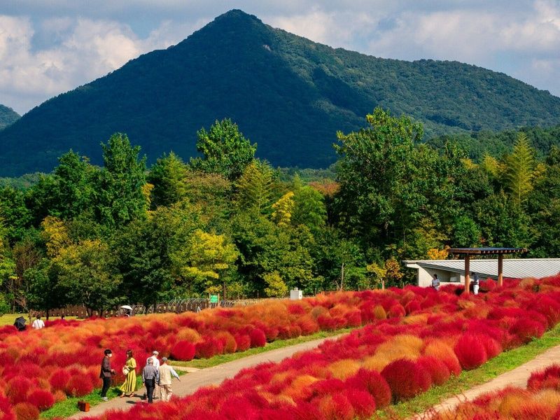 Autotour Japon : Incontournables & Terres Mystérieuses en 3* pas cher photo 9