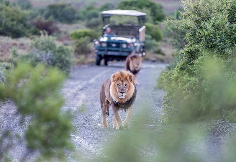 Circuit Afrique du Sud, le Monde en un seul pays pas cher photo 3