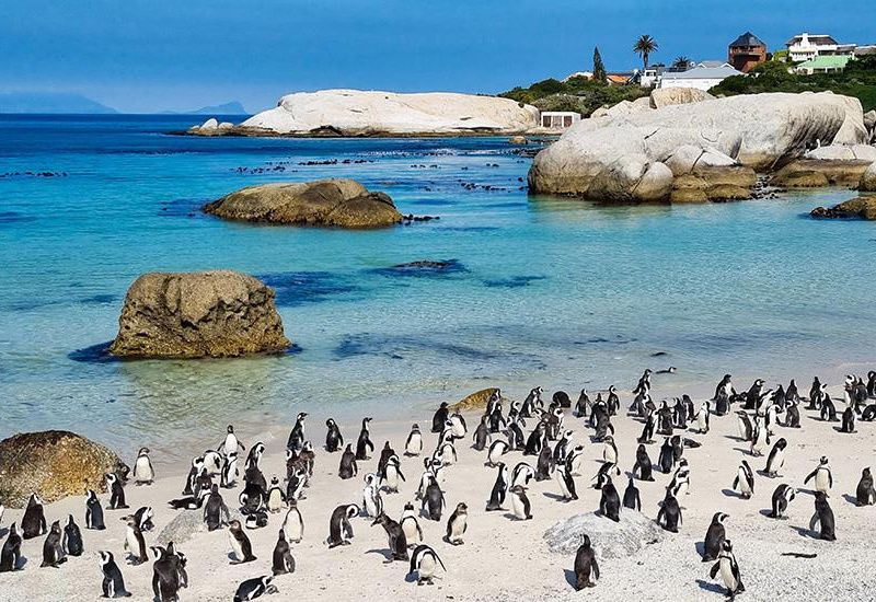 Circuit Afrique du Sud, le Monde en un seul pays pas cher photo 14