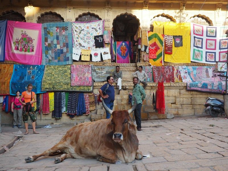 Circuit Splendeurs et déconnexion au Rajasthan pas cher photo 10