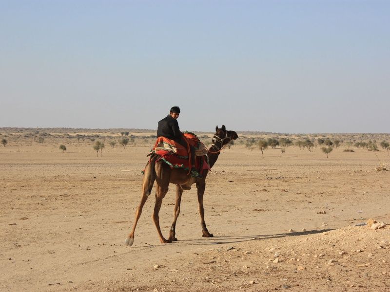 Circuit Splendeurs et déconnexion au Rajasthan pas cher photo 12