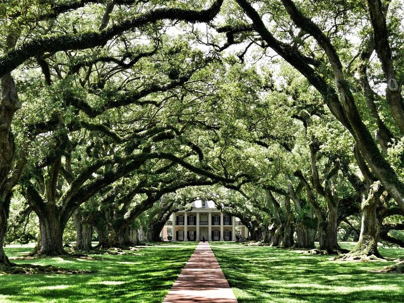 DÉCOUVERTE DE LA LOUISIANE pas cher photo 1