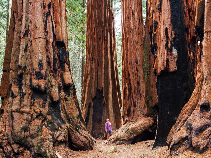 Les Incontournables de l'Ouest - 14J/12N - 2026 pas cher photo 7