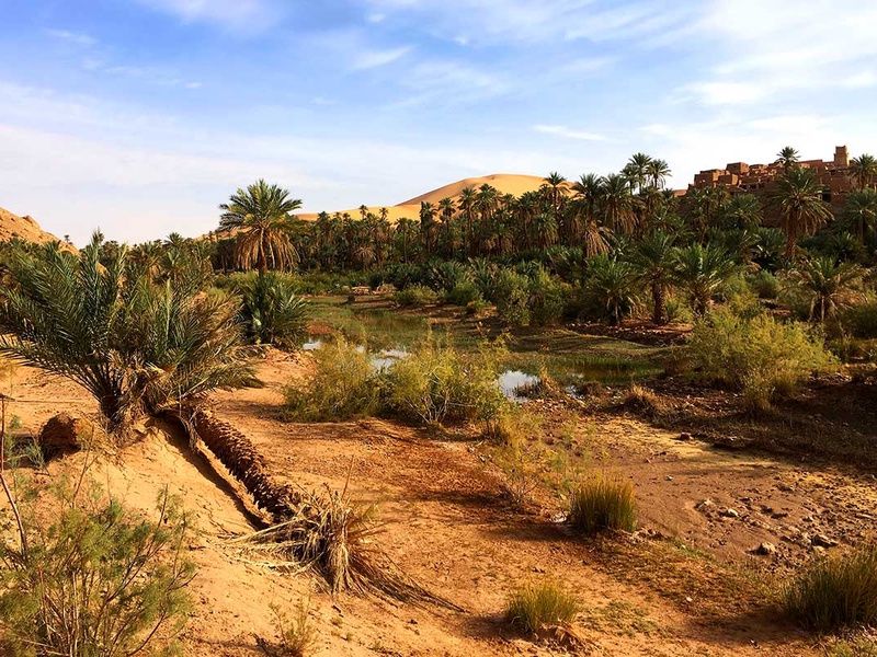 Circuit La boucle des Oasis : les jardins de la Saoura pas cher photo 5