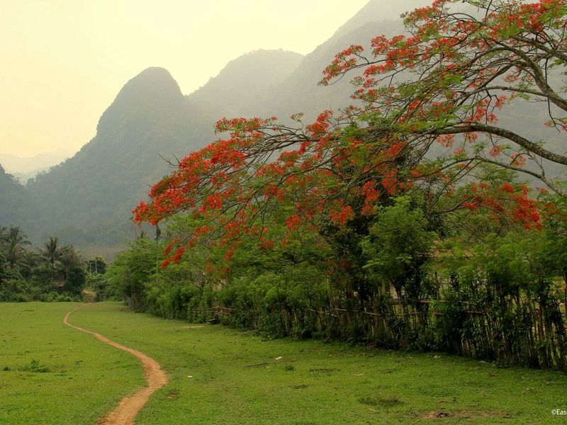 Circuit De Luang Prabang aux montagnes du nord pas cher photo 3