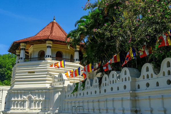 Circuit Trésors du Sri Lanka en Privatif et plage à Pasikudah 3* pas cher photo 7